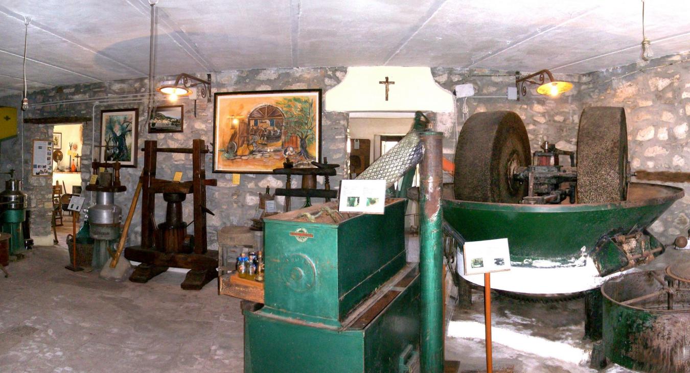 Lettere alle scuole - Visite Guidate e Progetti Comuni